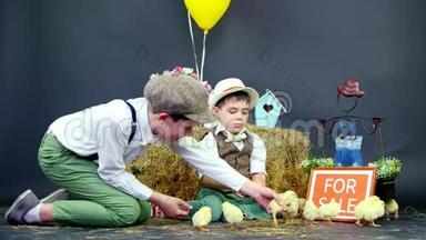 两个穿着时髦的男孩和<strong>小鸭子</strong>、小鸡玩耍，背景是干草堆里的<strong>彩色</strong>鸟舍